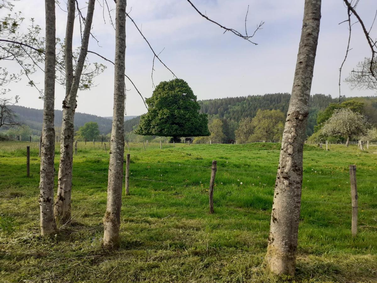 Le Repos Du Nomade B&B 7 Personnes Manhay Eksteriør bilde